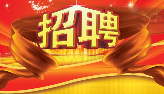 招聘网站运营方案