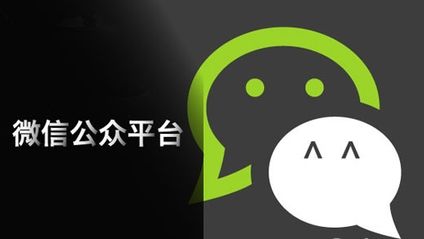 成都微信公众平台制作公司